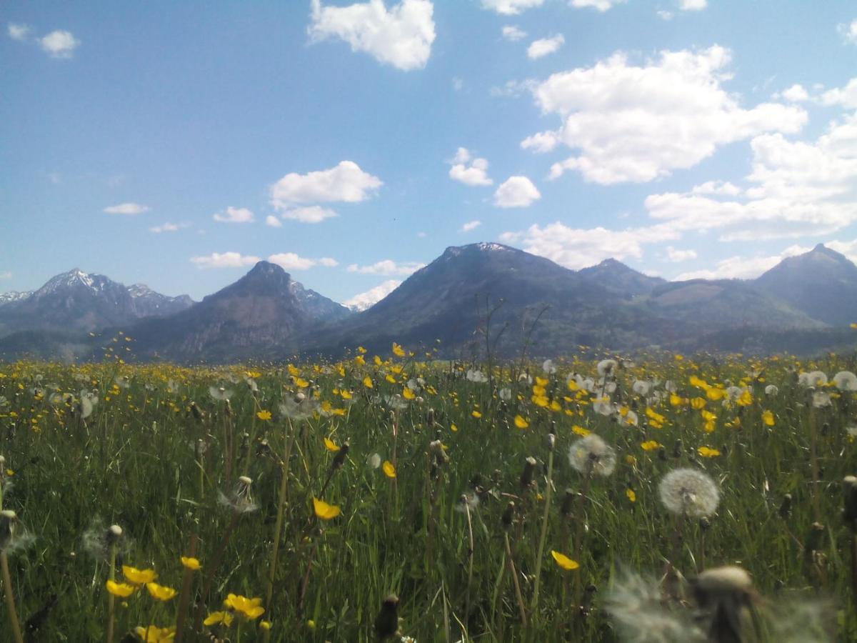 S-Hansn Sankt Wolfgang im Salzkammergut Luaran gambar